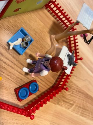 Playmobil Guardería Gatos