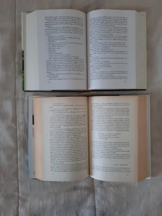 LOTE DE 2 VOLÚMENES DE ROSAMUNDE PILCHER.