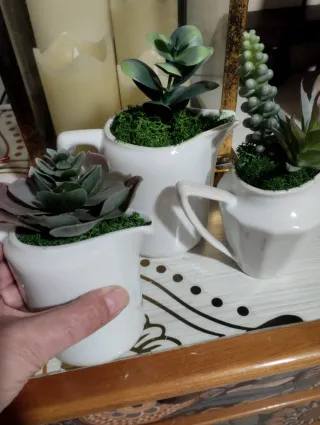 Lecheritas in ceramica con piante grasse