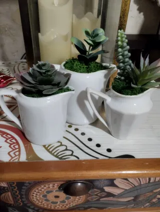 Lecheritas in ceramica con piante grasse