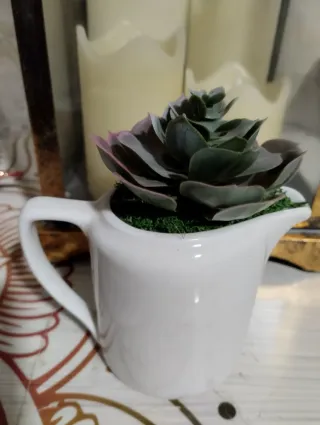 Lecheritas in ceramica con piante grasse