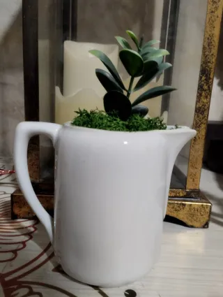 Lecheritas in ceramica con piante grasse