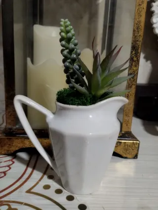 Lecheritas in ceramica con piante grasse