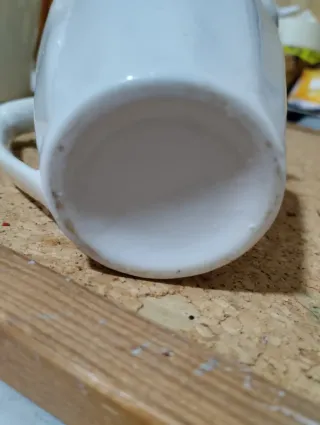 Lecheritas in ceramica con piante grasse