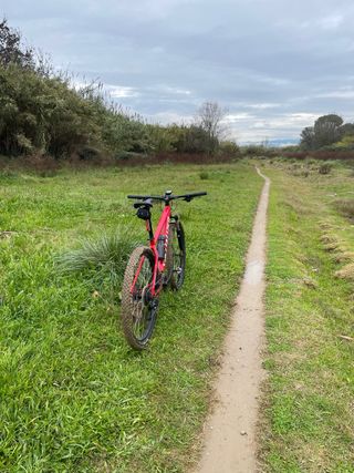 Specialized Rockhopper 29” Roja