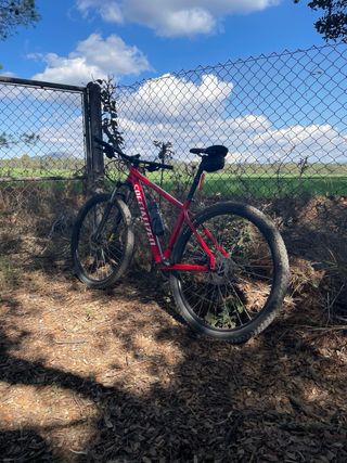 Specialized Rockhopper 29” Roja