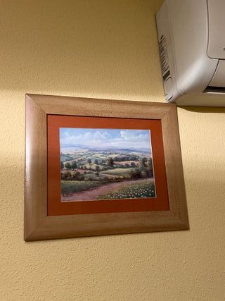 Cuadros en muy buen estado.