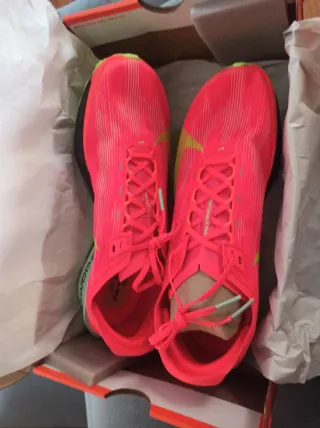 Nike Streakfly 2 (placa de carbono)