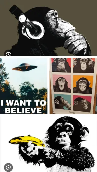 Lote 4 Posters Chimpancés 91x61