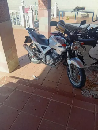 Honda CBF 250 Plata cambio por moto de campo