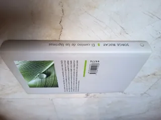 El camino de las lágrimas