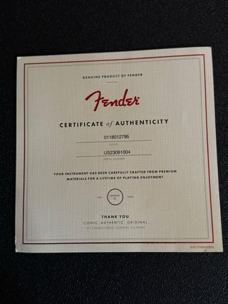 Fender Stratocaster Ultra - Cobra Blue