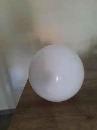 Tulipa cristal opal blanco