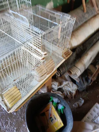 Jaula de cría para pájaros