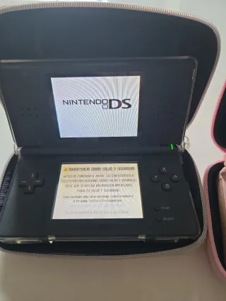 2 nintendo ds lite con juegos