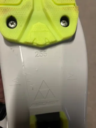 Botas de esquí Fischer RC4