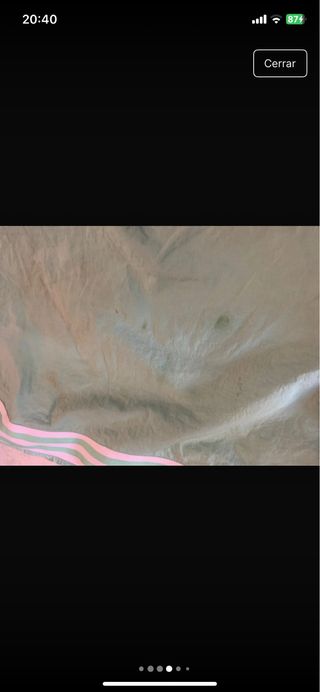 Pantalones Adidas verdes