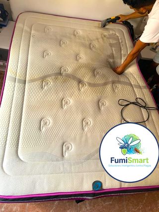 Limpieza de muebles y tapicerias