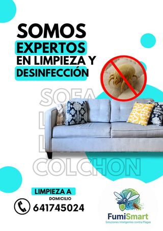 Limpieza de muebles y tapicerías