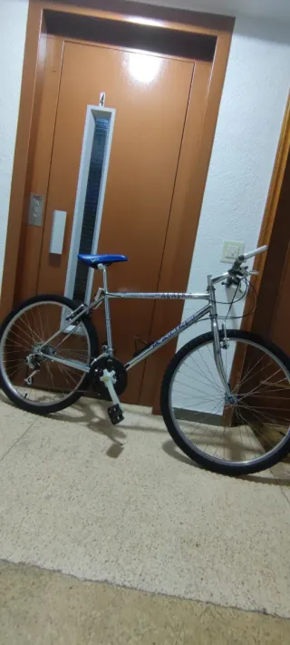 Bicicleta de montaña plateada