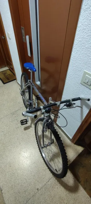 Bicicleta de montaña plateada