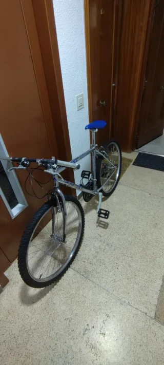 Bicicleta de montaña plateada