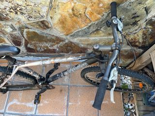 Bicicleta de montaña