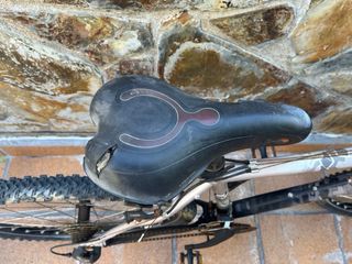 Bicicleta de montaña