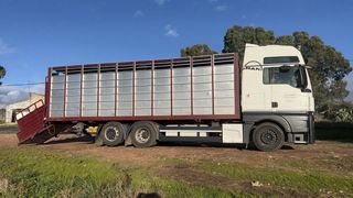 Camión Ganadero Man 26.480 6x2 Retarder