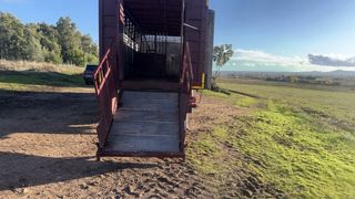 Camión Ganadero Man 26.480 6x2 Retarder