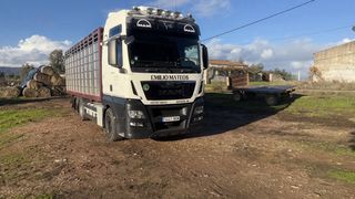 Camión Ganadero Man 26.480 6x2 Retarder