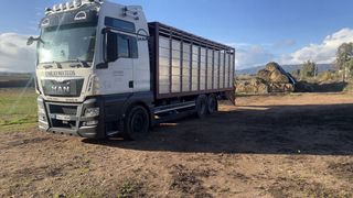 Camión Ganadero Man 26.480 6x2 Retarder