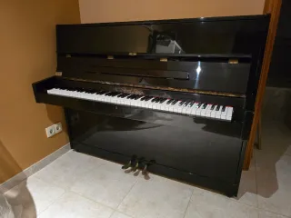 Piano Pearl River