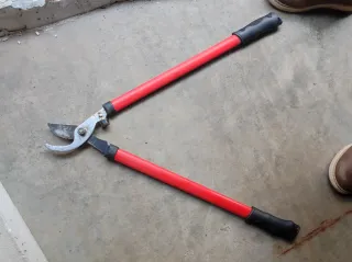 Taglia rami professionali