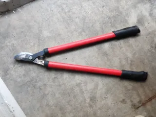 Taglia rami professionali