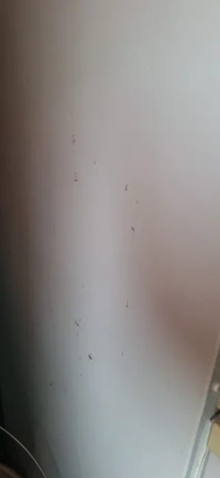 Nevera blanca URGE VENDER POR MUDANZA