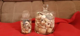 2 Contenitori Vetro Conchiglie