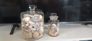 2 Contenitori Vetro Conchiglie