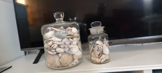 2 Contenitori Vetro Conchiglie