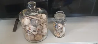 2 Contenitori Vetro Conchiglie