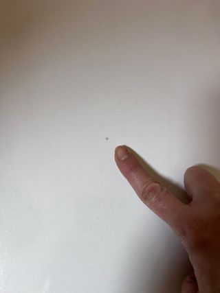 Mesa comedor blanca + 6 sillas negras