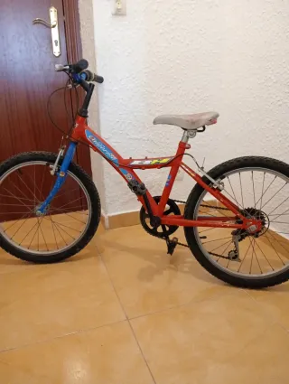 Bicicleta infantil niño/niña