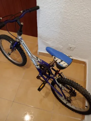 Bicicleta infantil niño/niña