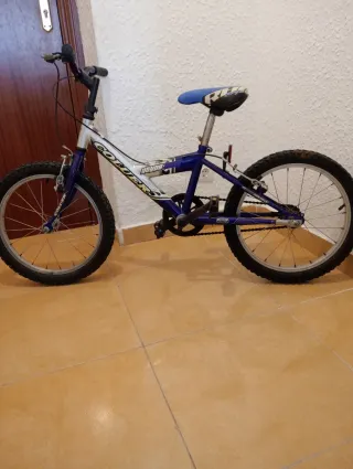 Bicicleta infantil niño/niña