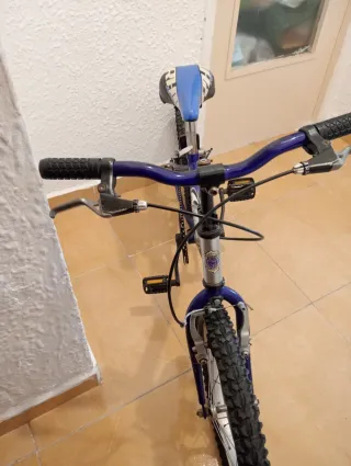 Bicicleta infantil niño/niña