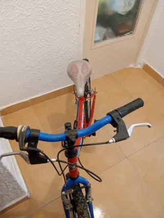 Bicicleta infantil niño/niña