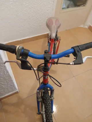 Bicicleta infantil niño/niña