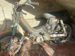 derby variant averiada