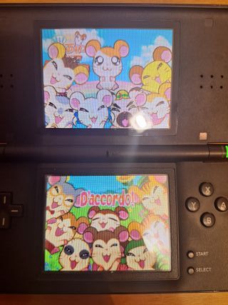 Hamtaro - La Sfida degli Ham-Ham Nintendo DS