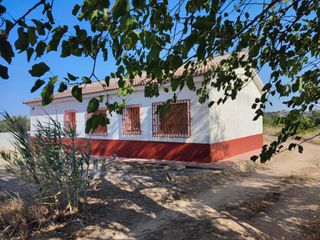ALQUILER CASA Y FINCA 54000m CON AGUA Y LUZ